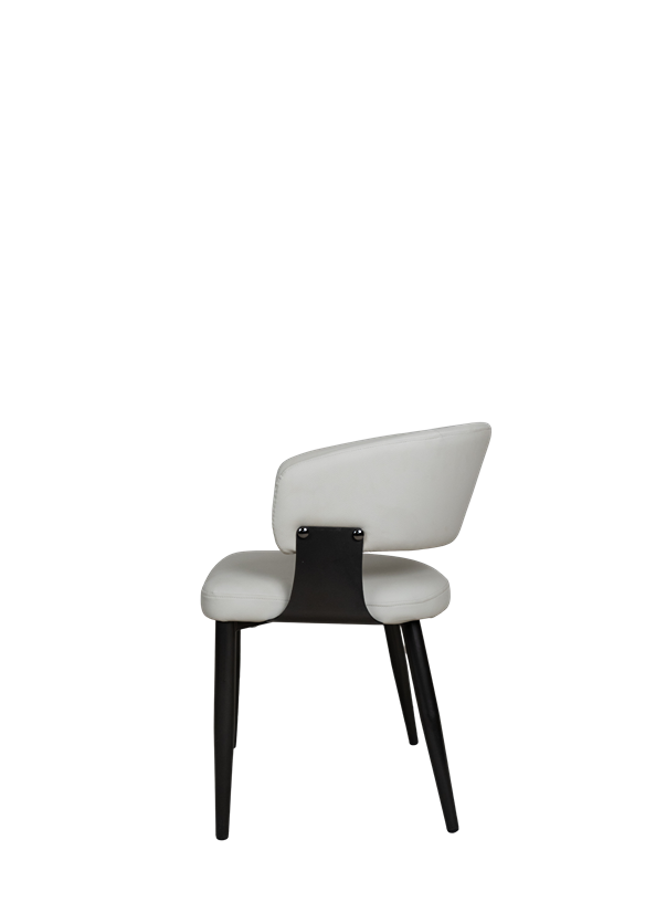 Modern Upholstered Dining Chair in Pakistan - 810
