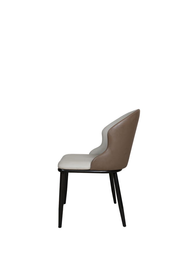 Modern Dining Chair F15 – Two-Tone Upholstered Accent Chair