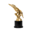 The Sovereign Eagle - CC12