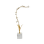 Gilded Lily Arch - MM6