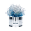 Aquamarine Cluster -  CC11/CC10