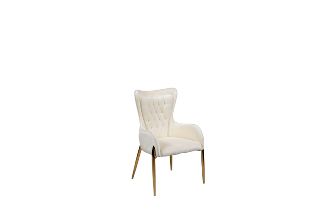 Dining Chair - 610