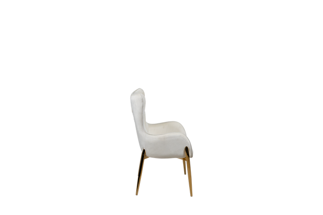 Dining Chair - 610