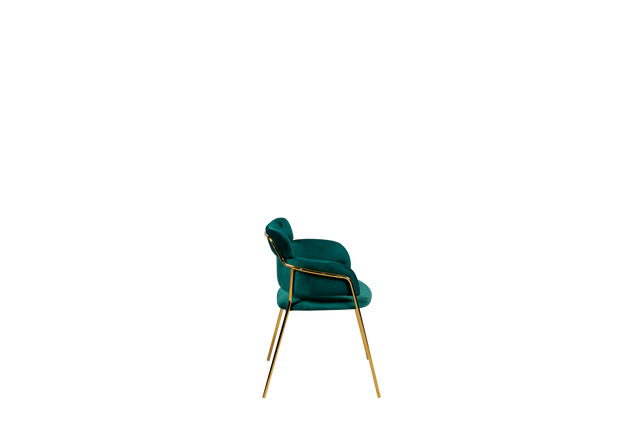 Dining Chair - Y-7