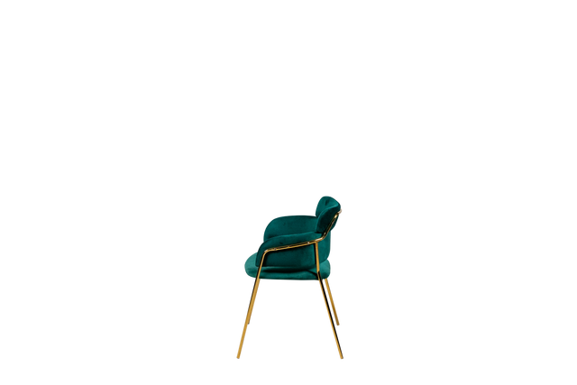 Dining Chair - Y-7