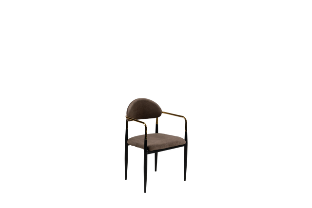 Dining Chair - Y-17