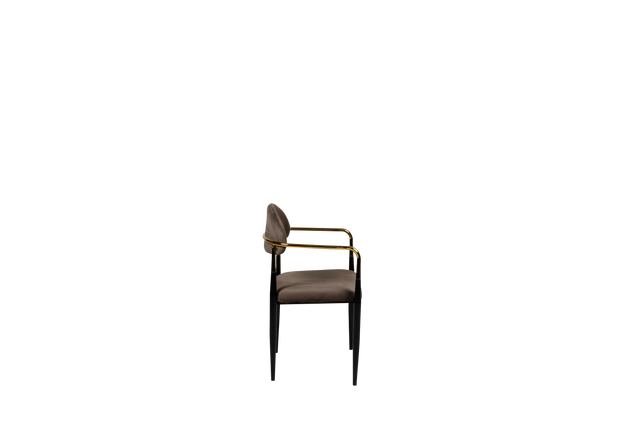 Dining Chair - Y-17