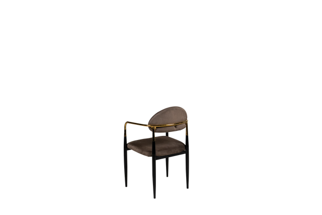 Dining Chair - Y-17