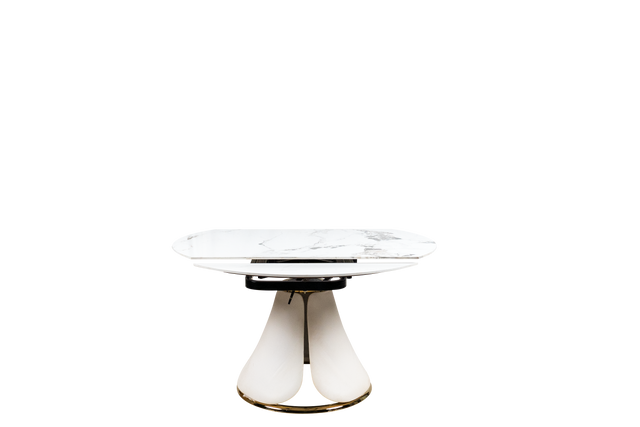 Dining Table - F08