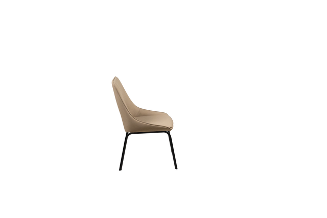 Dining Chair - 209