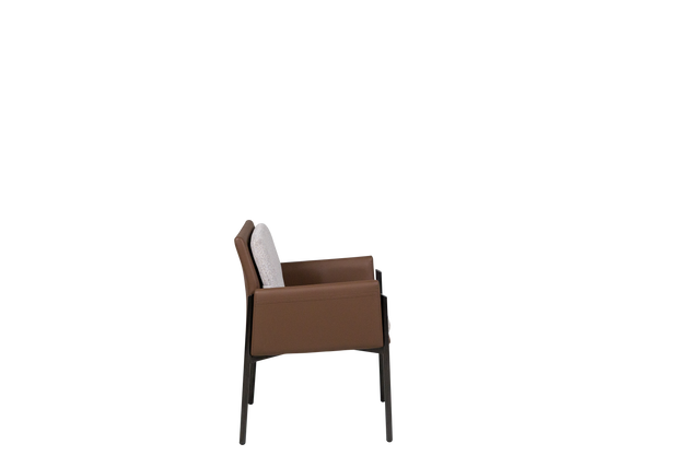 Dining Chair - Y-1073