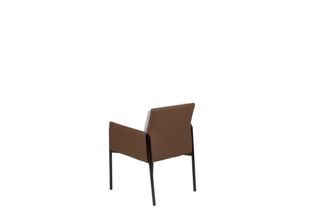 Dining Chair - Y-1073