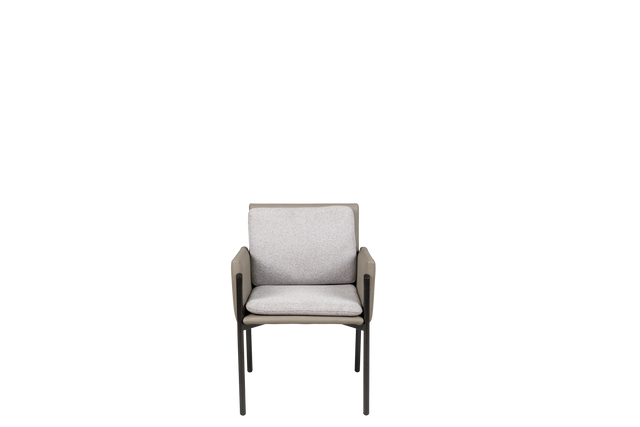 Dining Chair - Y-1073