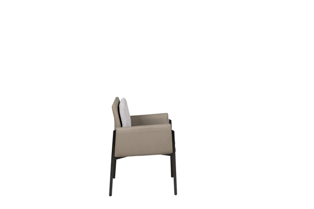 Dining Chair - Y-1073