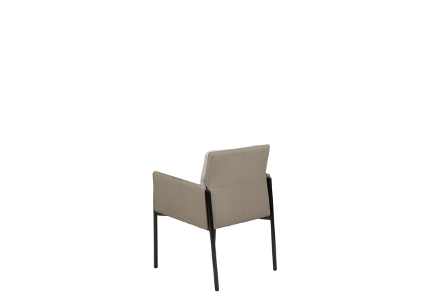 Dining Chair - Y-1073