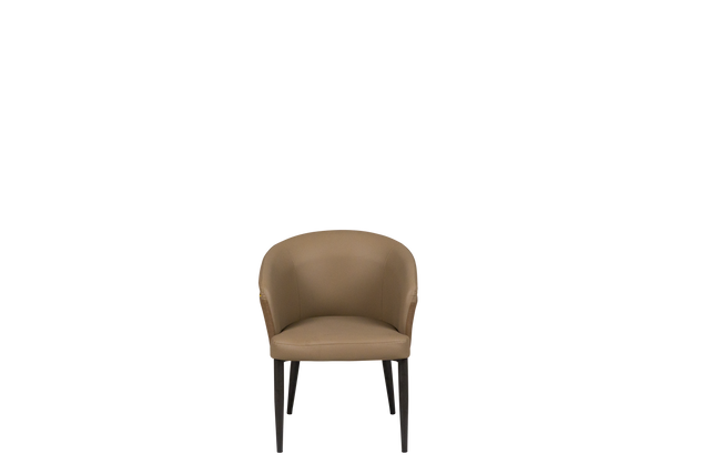 Dining Chair - 301