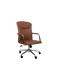 Revolving Chair - B37