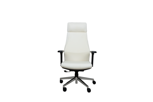 Executive Chair - A3009
