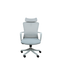 Revolving Chair - 303A