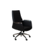 Executive Chair - B202