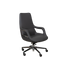 Executive Chair - B306