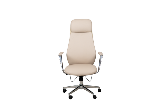 Executive Chair - A303