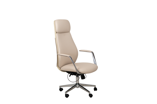 Executive Chair - A303