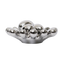 The Silver Anemone - B14