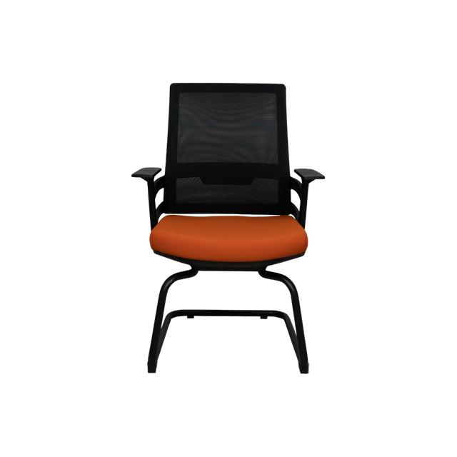 Visitor Chair - D3006