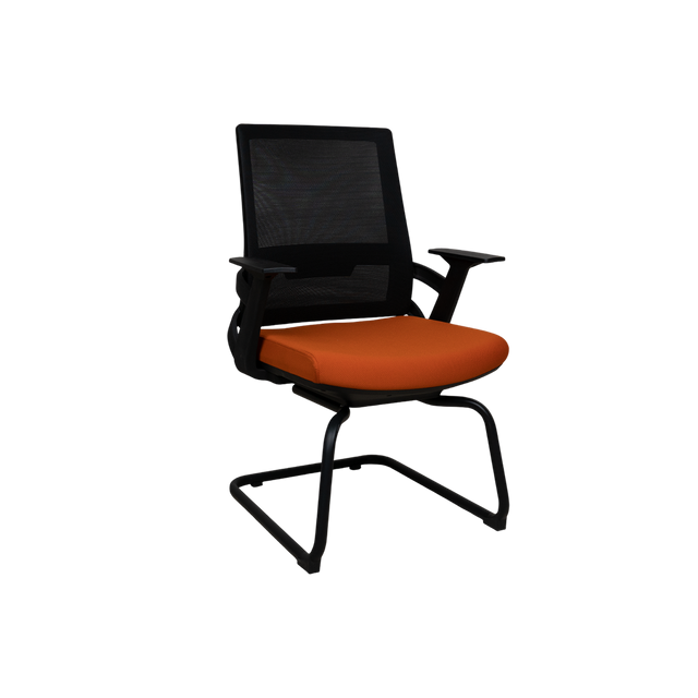Visitor Chair - D3006