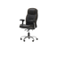 Executive Chair - C302