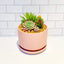 Nordic Ceramic Planter Pots - Flower Pots - Desktop Decoration Ornament